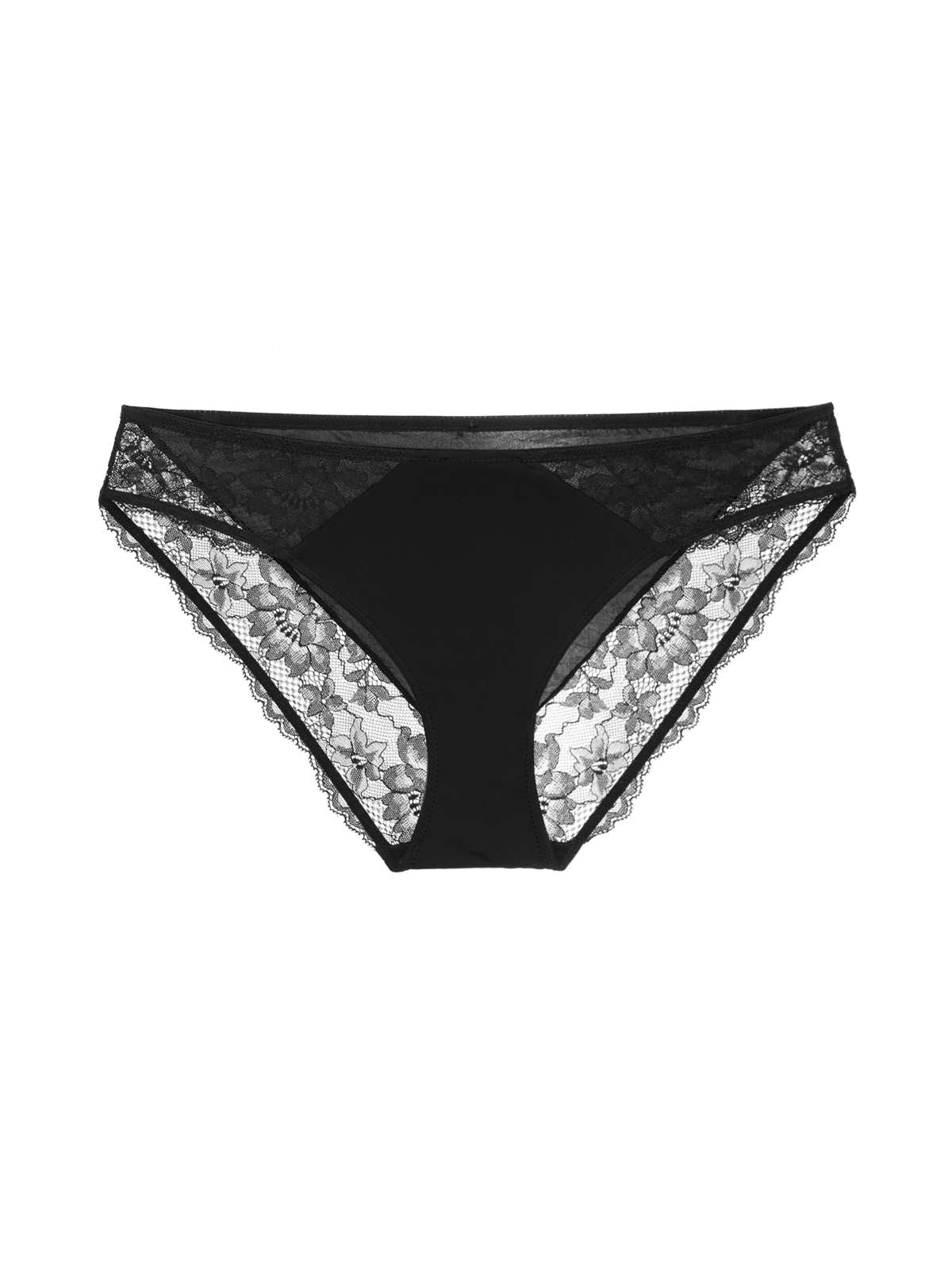 Willa Brief