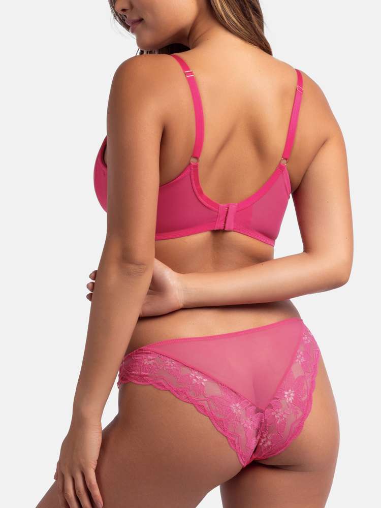 AMATHEIA BRAZILIAN BRIEF