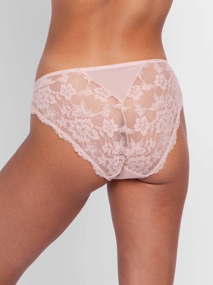 EMORY BRIEF