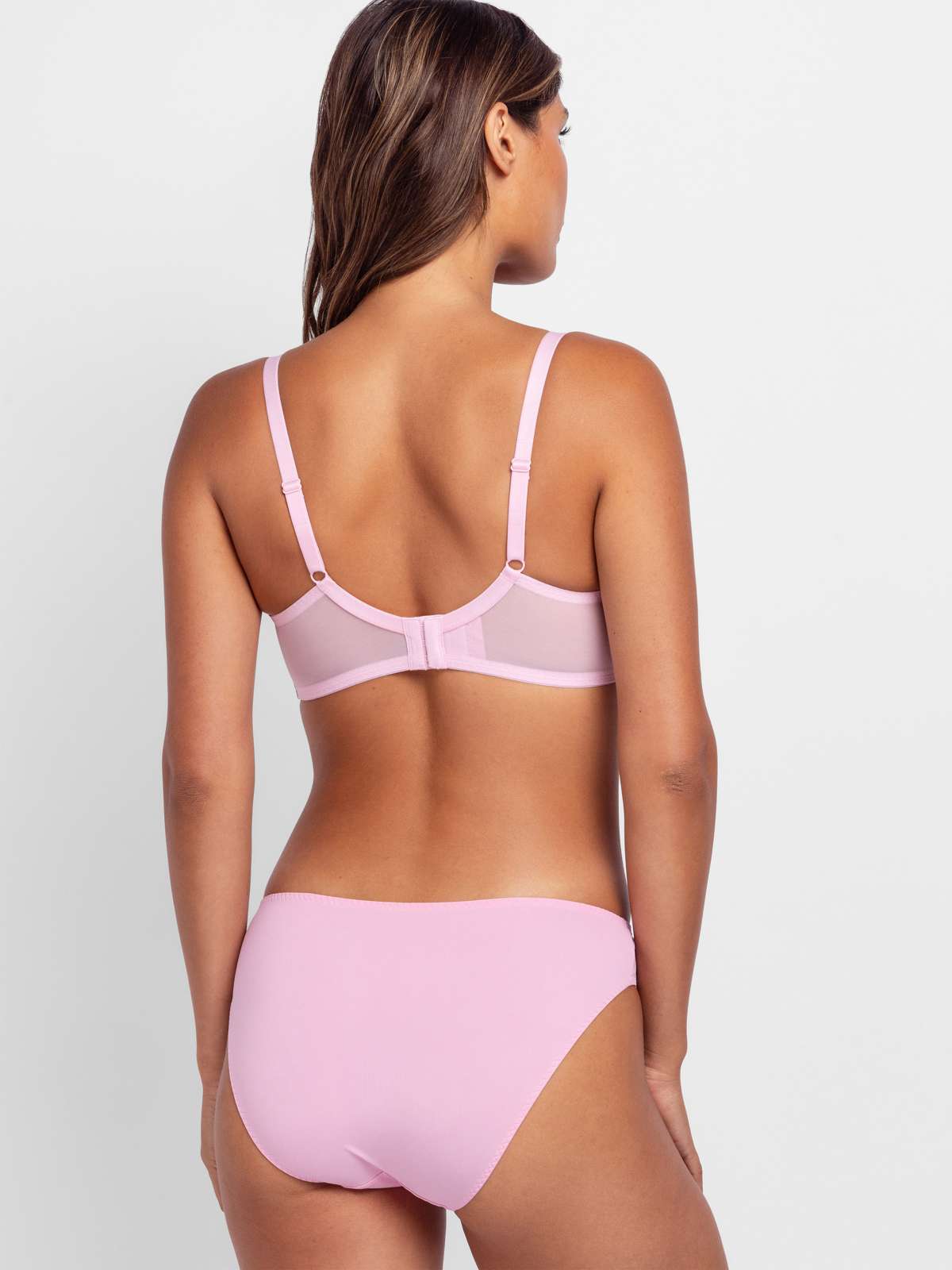 Willa 2pp Brief