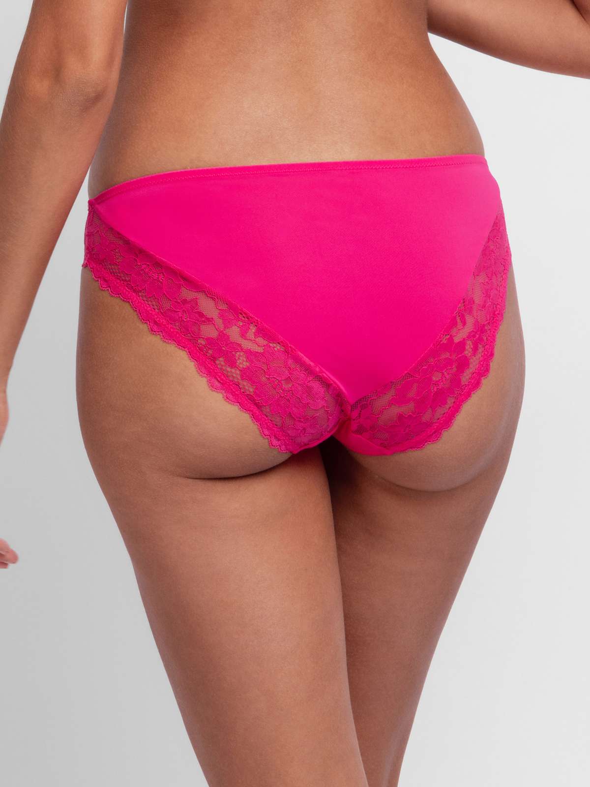 Willa Brief