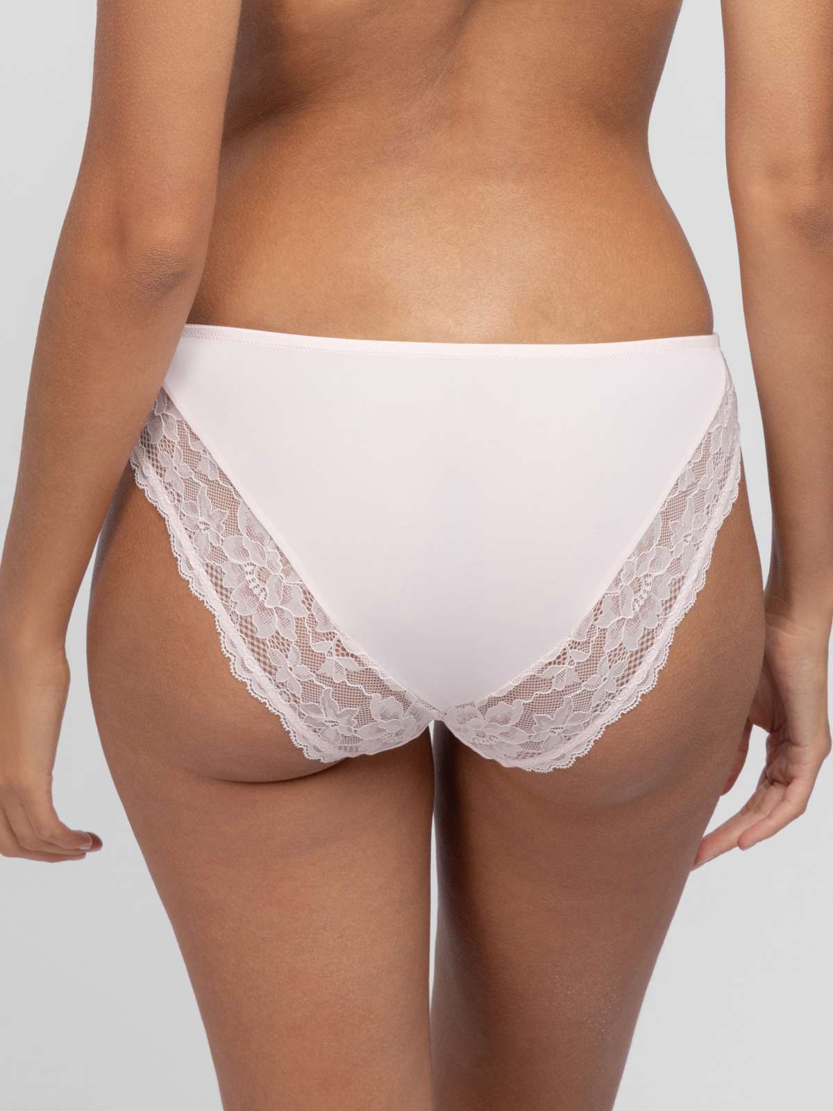 Willa 2pp Brief