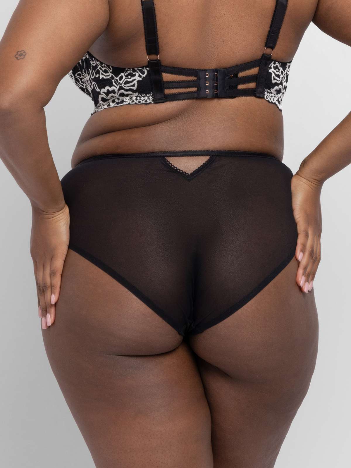 Xanthia Full Brief