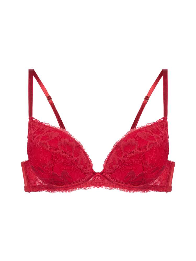 Lace Padded Plunge Bra