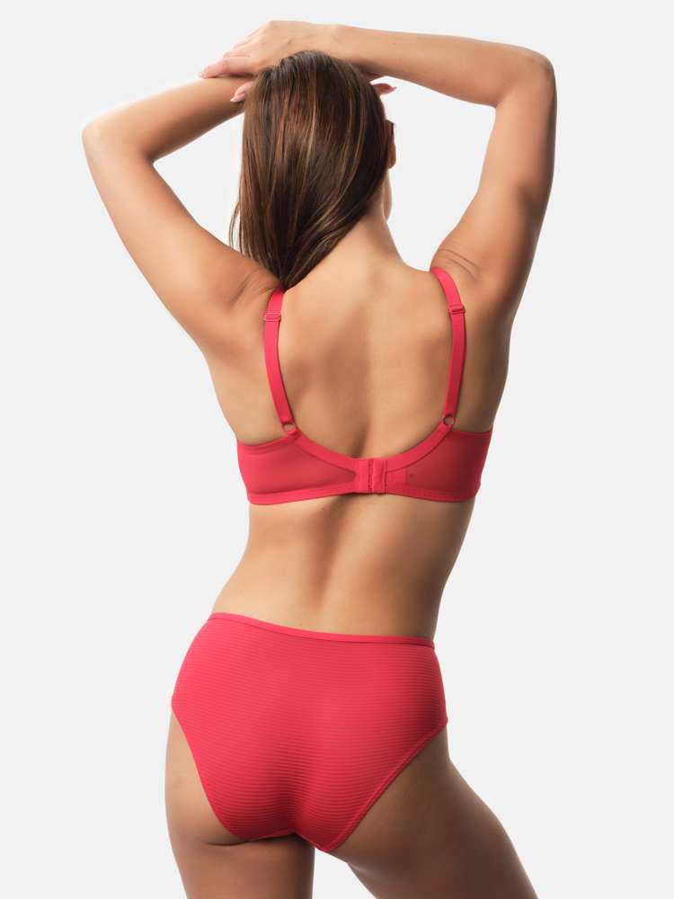 CARMEN DEMI BRA